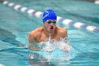 Swimming & Diving vs Babson  Swimming & Diving vs Babson College. - Photo by Keith Nordstrom : Wheaton, Swimming